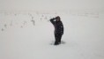 /album/photogallery/hello-snow-out-of-no-where-no-im-not-saluting-jpg/